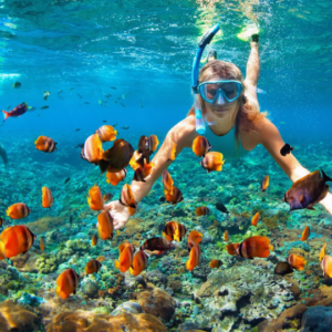 Luxury Snorkeling