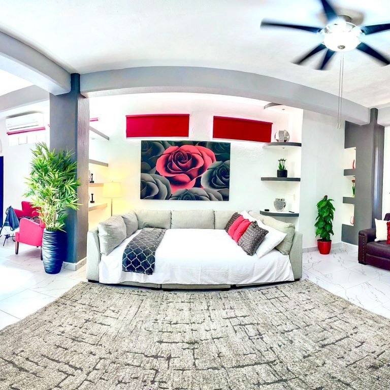 WhatsApp Image 2024-12-17 at 5.17.23 PM (3)